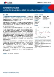 宏观经济宏观月报：12月政府投资和疫情防控政策优化带动国内经济动能增加