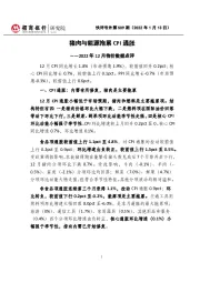 快评号外第509期:2022年12月物价数据点评-猪肉与能源拖累CPI通胀