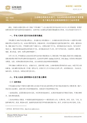 首只绿色科技创新熊猫债发行引起的思考：支持绿色科技走出国门，为全球环境治理贡献中国智慧