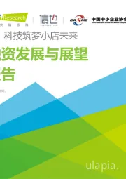 小微融资发展与展望研究报告