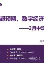 2月中观景气专题报告：复工进度超预期，数字经济迎催化