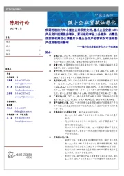 微小企业贷款证券化