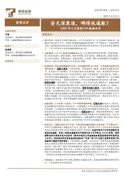 2023年2月美国CPI数据点评：若无深衰退，哪得低通胀？