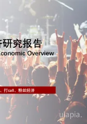 2022年中国粉丝经济研究报告