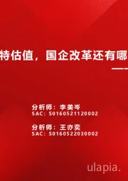 大象起舞系列三：除了中特估值，国企改革还有哪些预期差？