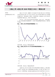 大陆上市A股公司2022年报及2023一季报分析