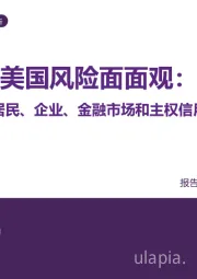 美国风险面面观：居民、企业、金融市场和主权信用