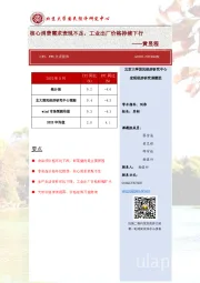 CPI、 PPI点评报告：核心消费需求表现不足，工业出厂价格持续下行