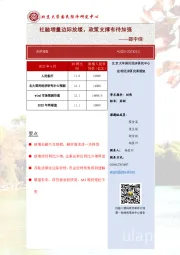 社融增量边际放缓，政策支撑有待加强