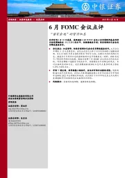 6月FOMC会议点评：“留有余地”的暂停加息
