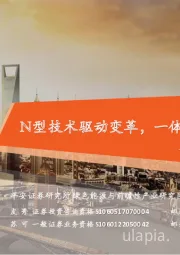光伏产业链全景图:N型技术驱动变革,一体化扩产与竞争加剧