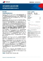 货币政策与流动性观察：政府融资放缓有望缓和资金压力