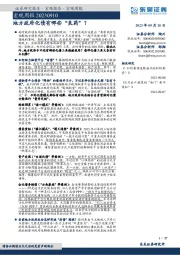 宏观周报：地方政府化债有哪些“良药”？