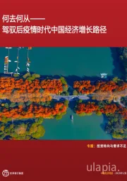 专题:投资转向与需求不足,驾驭后疫情时代中国经济增长路径,何去何从