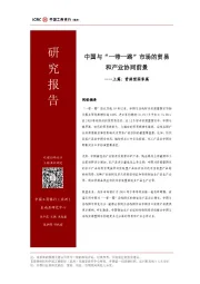 中国与“一带一路”市场的贸易和产业协同前景——上篇：资源型国家篇