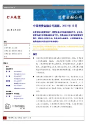 中国消费金融公司展望，2023年12月