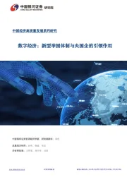 中国经济高质量发展系列研究：数字经济：新型举国体制与央国企的引领作用
