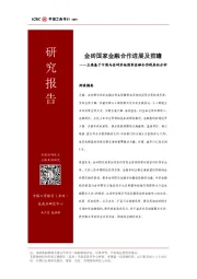 主要基于中国与金砖其他国家金融合作视角的分析：金砖国家金融合作进展及前瞻