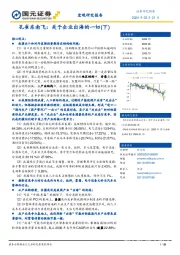 孔雀东南飞：关于企业出海的一切（下）