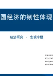 2024年中国经济的韧性体现在哪里？