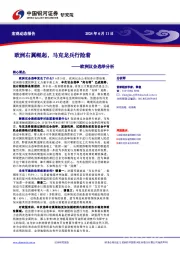 欧洲议会选举分析：欧洲右翼崛起，马克龙兵行险着
