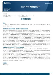 2024年5月物价点评：物价拐点已现？