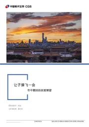 2024年中期财政政策展望：让子弹飞一会