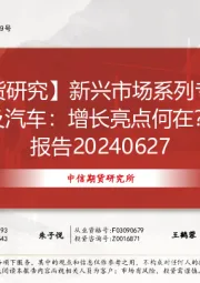 【研究】专题报告：新兴市场系列专题报告之印度电力及汽车：增长亮点何在？