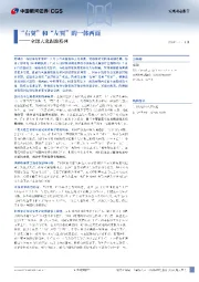 全球大选跟踪系列：“右翼”和“左翼”的一体两面