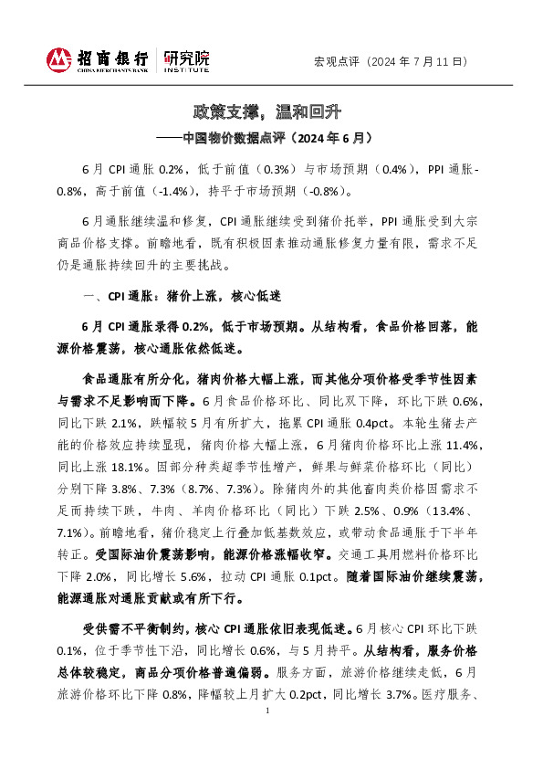中国物价数据点评（2024年6月）：政策支撑，温和回升