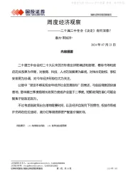 周度经济观察：二十届三中全会《决定》有何深意？
