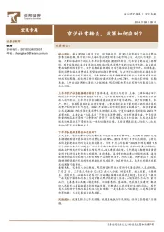 宏观专题：京沪社零转负，政策如何应对？