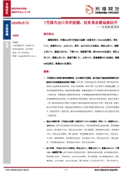 宏观数据观察：7月国内出口有所放缓，但贸易总额延续回升