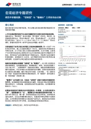 宏观经济专题研究：纲目并举看政策：“促转型”与“稳增长”之间的动态切换