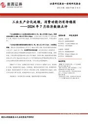 2024年7月经济数据点评：工业生产分化延续，消费动能仍有待稳固