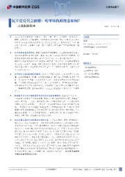 大选跟踪系列：民主党党代会前瞻：哈里斯执政理念如何？