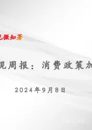 宏观周报：消费政策加码
