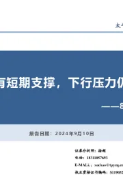 8月通胀数据点评：虽有短期支撑，下行压力仍存