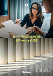 统一专利法院一周年回顾:基于Darts-ip的洞察