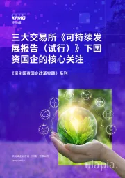 《深化国资国企改革实践》系列：三大交易所《可持续发展报告(试行)》下国资国企的核心关注