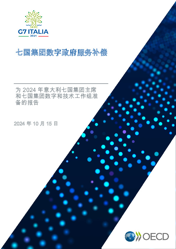 七国集团数字政府服务补偿