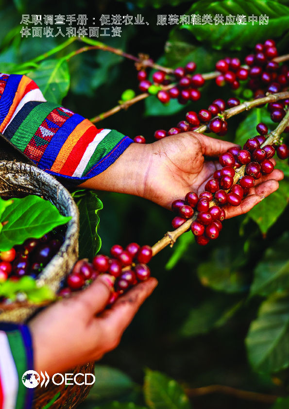 尽职调查手册：促进农业、服装和鞋类供应链中的体面收入和体面工资
