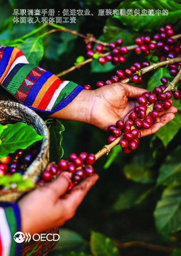 尽职调查手册：促进农业、服装和鞋类供应链中的体面收入和体面工资