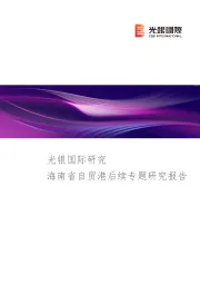 光银国际研究：海南省自贸港后续专题研究报告