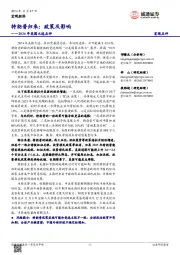 2024年美国大选点评：特朗普归来：政策及影响