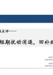 10月贸易数据点评：短期扰动消退，回补效应显现