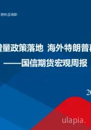 宏观周报：国内12万亿财政增量政策落地 海外特朗普再度当选美国总统