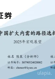2025年宏观展望：中国扩大内需的路径选择