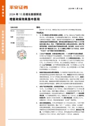 2024年10月增长数据解读：增量政策效果集中显现