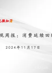 宏观周报：消费延续回暖